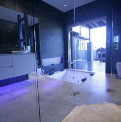 Sydney Bathroom Renovators - bathroom with glass entrance and floor bathtub