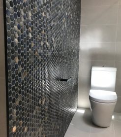 Penny Round Bathroom Tiles Sutherland Shire